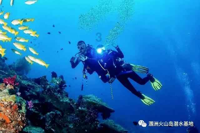 马化腾年会同款毛衣火出圈 京东同款红毛衣仅售66元
